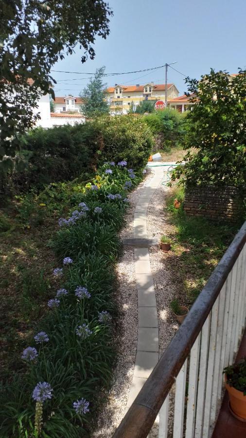 Vivenda Do Sobreiro Al Apartment Serpins Exterior photo
