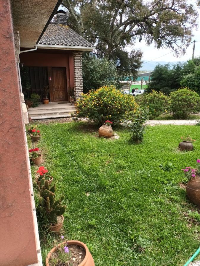 Vivenda Do Sobreiro Al Apartment Serpins Exterior photo